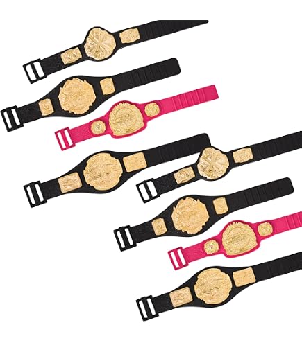 Amazon.com: Set of 12 Championship Figure Belts & 5 Accessories